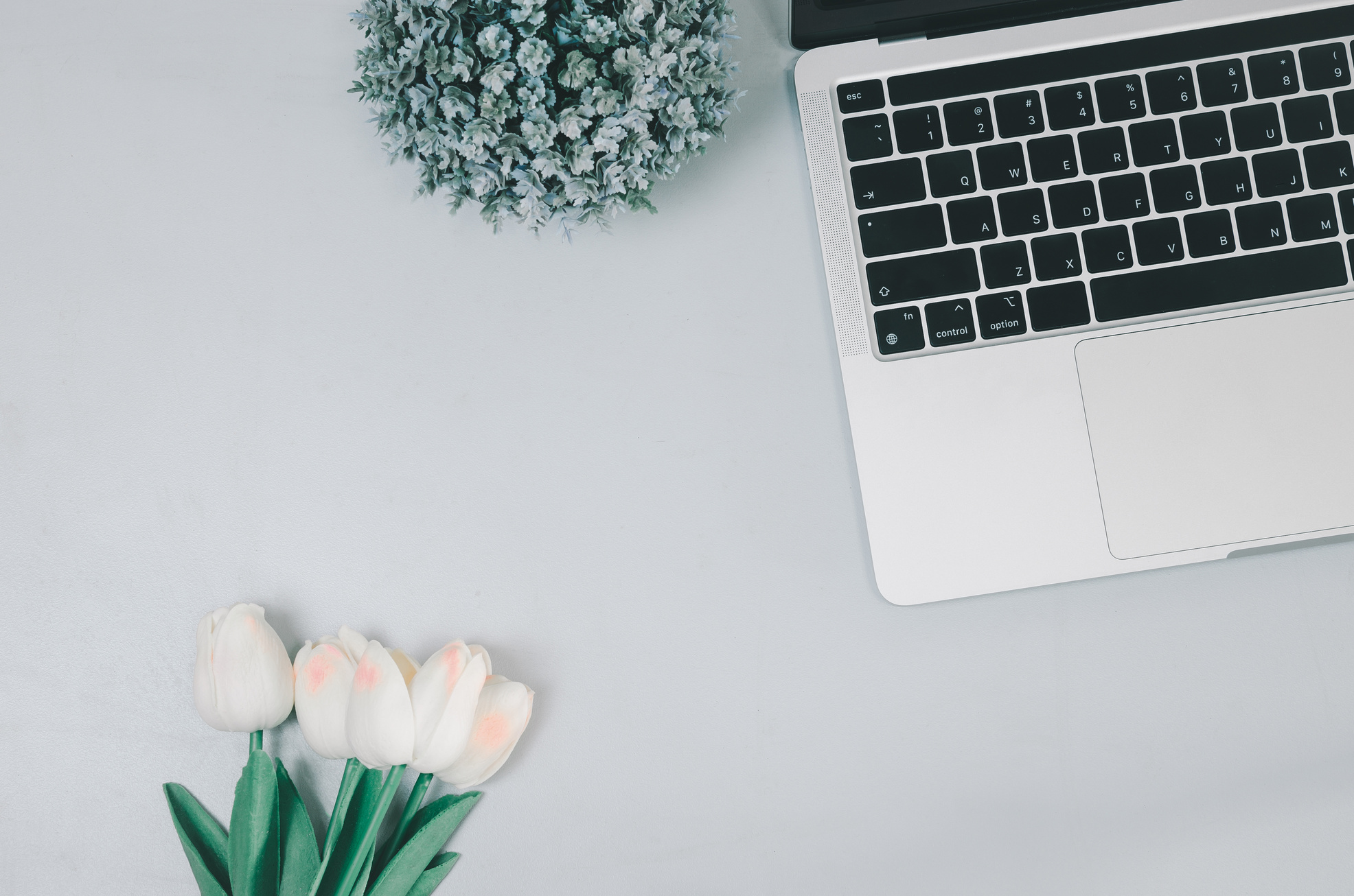 Computer Laptop and Flower on Desk.Flat Lay with Copy Space.